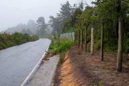 two-way road in rural area with trees in foggy day. in the carの写真素材