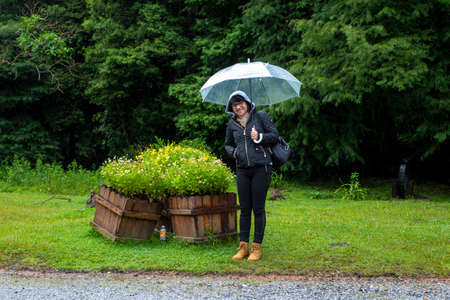 Mature woman holding transparent umbrella in the middle of nature in a rainy dayの写真素材