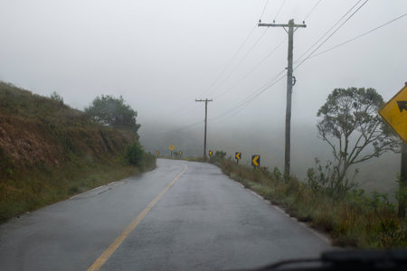 two-way road in rural area with trees in foggy day. in the carの写真素材