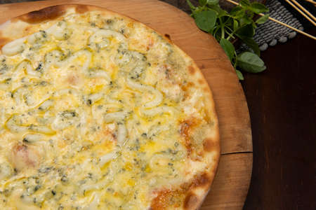 Brazilian pizza with 4 cheeses and onion, top viewの写真素材