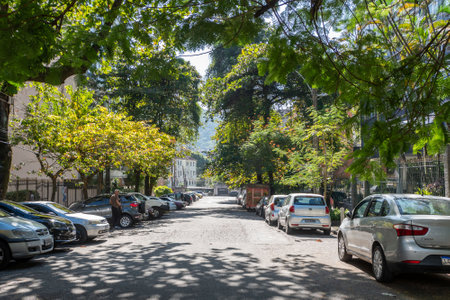 Rio, Brazil - July 06, 2022: Rio de Janeiro cityscapes, showing tree-lined street and natureのeditorial素材