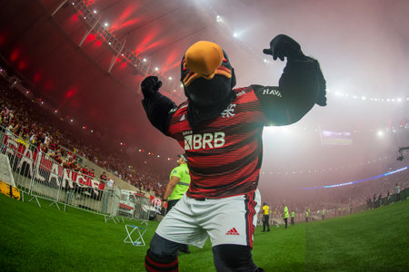 Rio, Brazil - July 27, 2022: Mascot in match between Flamengo vs Athletico-PR by quarter finals round of Brazilian Cup in Maracana Stadiumのeditorial素材