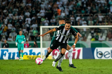 Rio, Brazil - October 03, 2022: match between Bptafogo vs Palmeiras by 29 round of Brazilian Championship, in Maracana Stadiumのeditorial素材