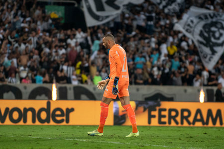 Rio, Brazil - October 03, 2022: Weverton player in match between Bptafogo vs Palmeiras by 29 round of Brazilian Championship, in Maracana Stadiumのeditorial素材