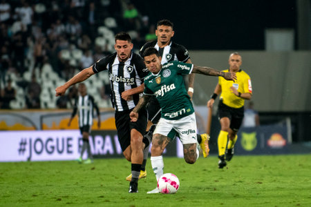 Rio, Brazil - October 03, 2022: match between Bptafogo vs Palmeiras by 29 round of Brazilian Championship, in Maracana Stadiumのeditorial素材