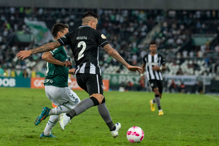Rio, Brazil - October 03, 2022: Saraiva player in match between Bptafogo vs Palmeiras by 29 round of Brazilian Championship, in Maracana Stadiumのeditorial素材