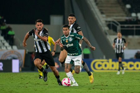 Rio, Brazil - October 03, 2022: match between Bptafogo vs Palmeiras by 29 round of Brazilian Championship, in Maracana Stadiumのeditorial素材