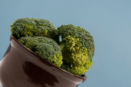 Fresh raw broccoli in pot isolated.の写真素材