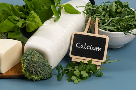 main sources of calcium for the body to help fight osteoporosis.の写真素材