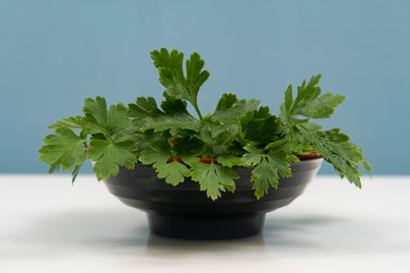 parsley in a bowl isolated without anyone.の写真素材
