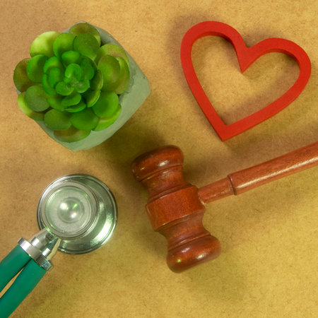 concept of medicine involving legislation in contracts and civil rights.の写真素材