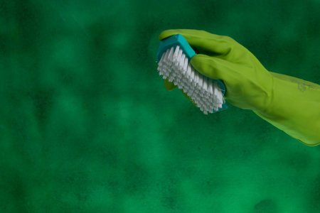 Hand with protective glove holding packaging of cleaning products used for home hygiene in a green backgroundの写真素材