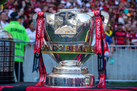 Rio, Brazil - november 12, 2022, Brazil Cup in match between Flamengo vs Avai by 38th round of Brazilian Championship, A serie in Maracana Stadiumのeditorial素材