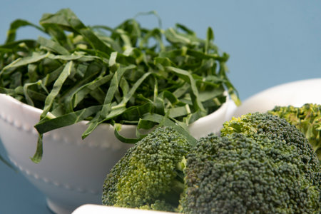 main sources of calcium for the body to help fight osteoporosis.の写真素材