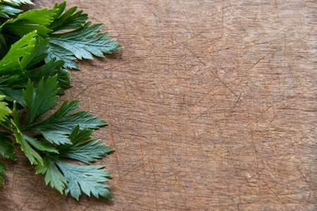 Parsley leaf forming side frame on scratched wooden background for writing textの写真素材