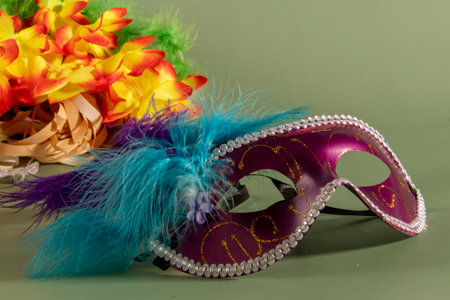 carnival mask with feathers and typical elements in the green backgroundの写真素材