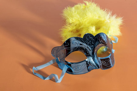 carnival mask forming frame in one of the lower corners with space for textの写真素材