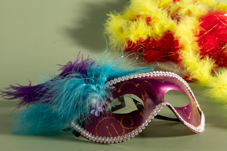 carnival mask with feathers and typical elements in the green backgroundの写真素材