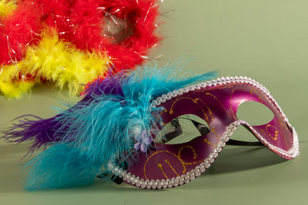 carnival mask with feathers and typical elements in the green backgroundの写真素材