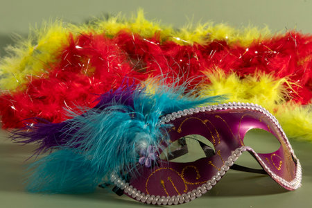 carnival mask with feathers and typical elements in the green backgroundの写真素材