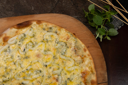 Brazilian pizza with 4 cheeses and onion, top viewの写真素材