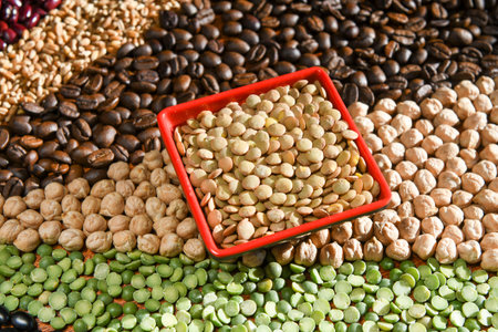 Bowl with raw lentil on various seedsの写真素材