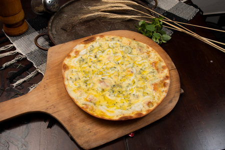 Brazilian pizza with 4 cheeses and onion, top viewの写真素材