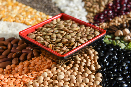Bowl with raw lentil on various seedsの写真素材
