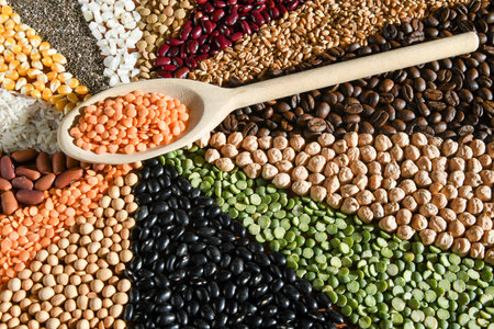 Various types of beans, vegetables, cereals and grains.の写真素材