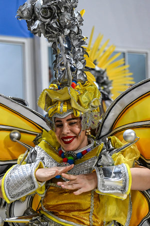 Rio de Janeiro, Brazil - February 13, 2026: A performer from UniÃ£o da Ilha do Governador samba...