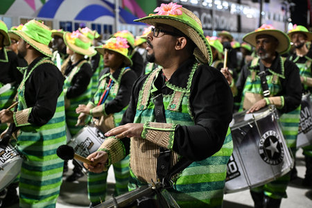 Rio de Janeiro, Brazil - February 14, 2026: A performer from Botafogo Samba Clube - samba school...