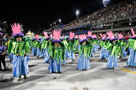 Rio de Janeiro, Brazil - February 14, 2026: A performer from Botafogo Samba Clube - samba school...