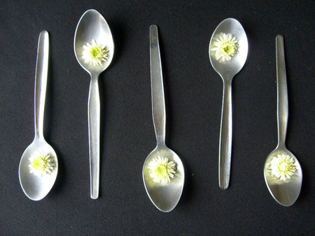 Six teaspoons with chamomile flowersの写真素材