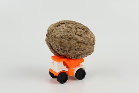 Big walnut standing in small orange toy truck bed, white backgroundの写真素材