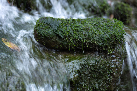Close up of mossy stones in a small waterfall, shallow depth of field