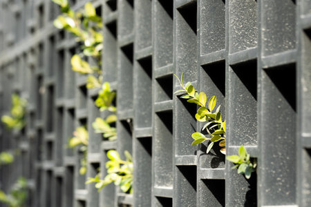 Detail of metal fence with green leaves. Selective focus.の写真素材