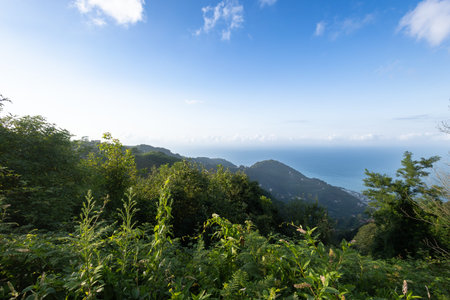 Mountains and sea in the Black Sea region of Turkeyの写真素材