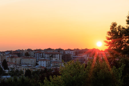 Sunset over the city of Istanbul and a treeの写真素材
