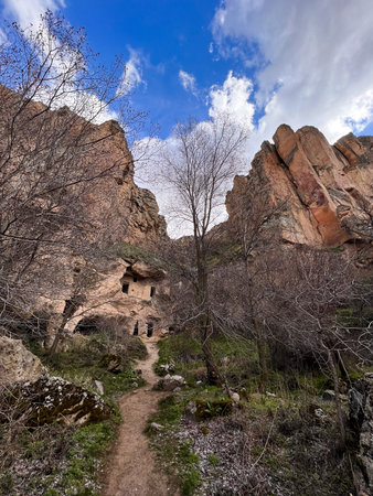 a path to the carved stone cave house among the trees in the valley