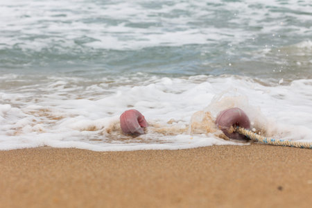 close up of a cable buoy on the beach and sea wave on the beachの写真素材