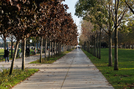 different types of trees in Maltese coastal park and people walking at afternoonのeditorial素材