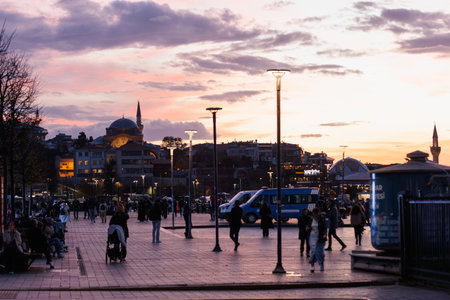 Rumi Mehmet Pasa Mosque at the purple sunset in Uskudar, Istanbulのeditorial素材