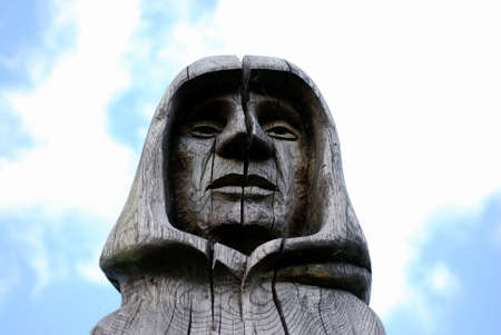 head of a monkの写真素材