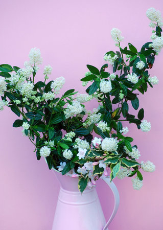 garden stems in a jugの写真素材