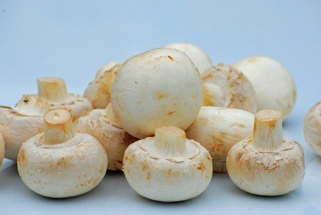 mushrooms