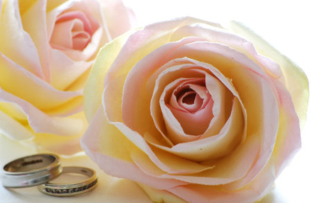 rings and rosesの写真素材