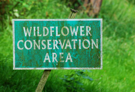 wildflower areaの写真素材