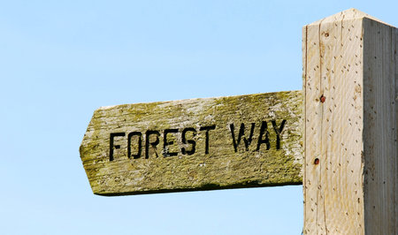 signpostの写真素材