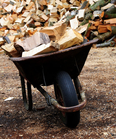 timber yardの写真素材