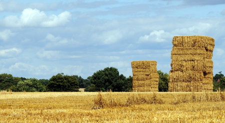 corn bales